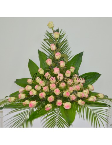 Centro "Rosas del Recuerdo"