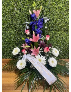 Centro "Luz en el Camino"