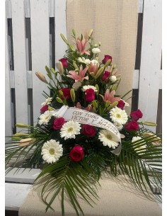 Centro "Luz en el Camino" 2