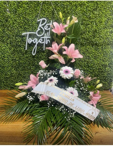 Centro "Luz en el Camino"