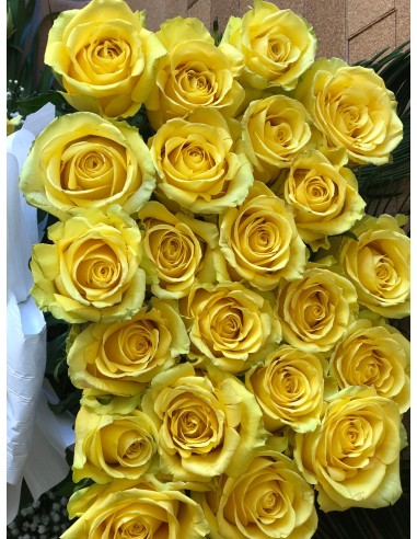 Centro "Rosas del Recuerdo"