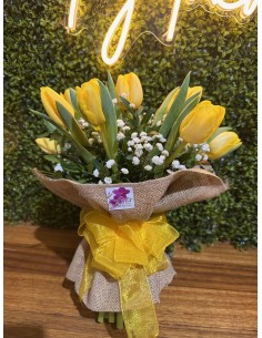 Caricias de Colores 2