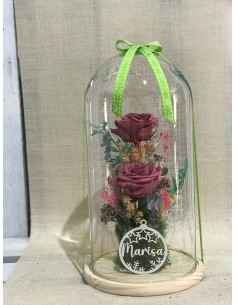 El encanto de la rosa