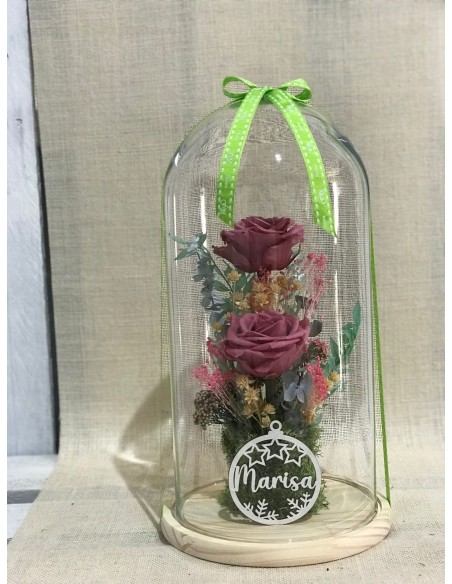 El encanto de la rosa